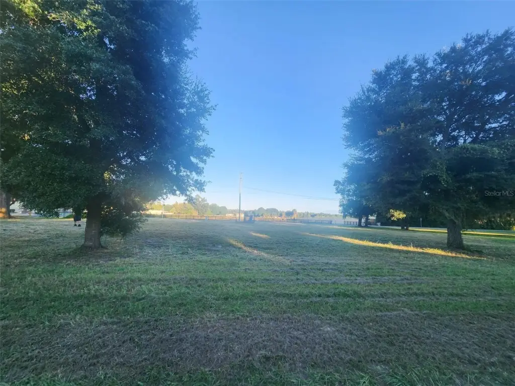 Picture 16