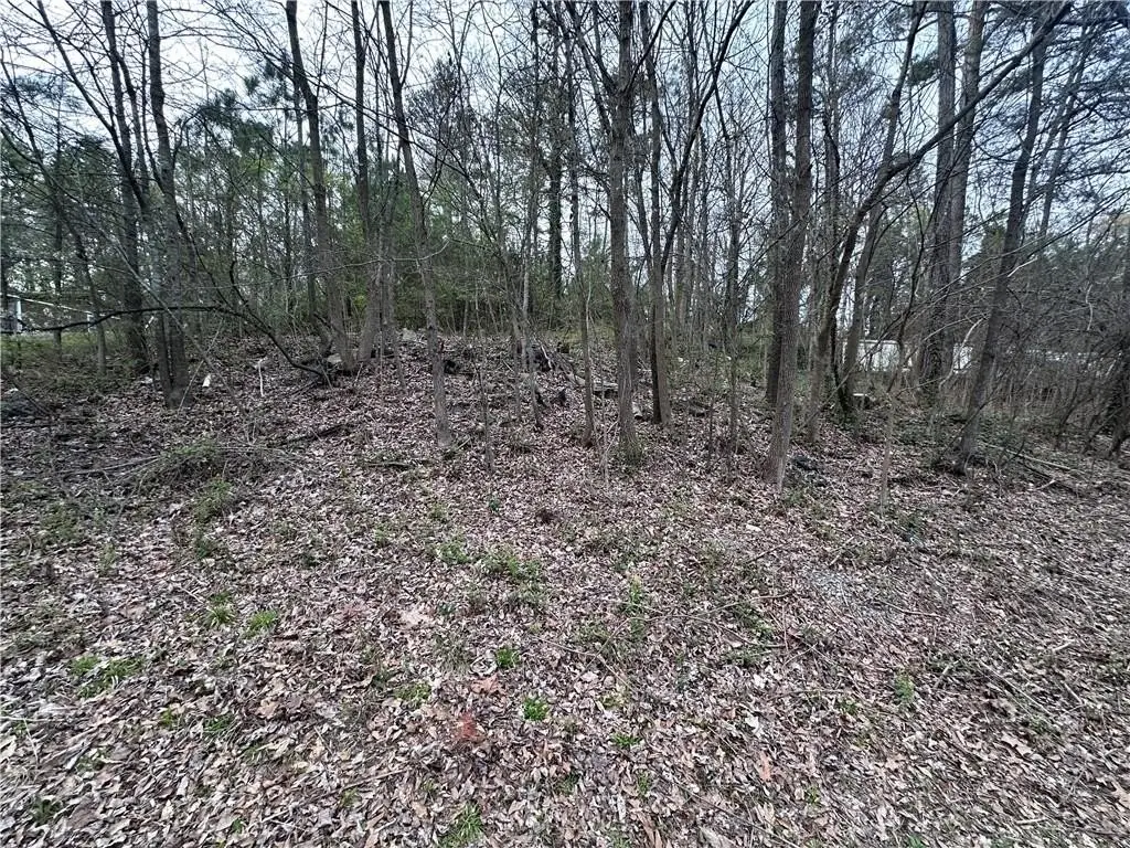 Picture 7