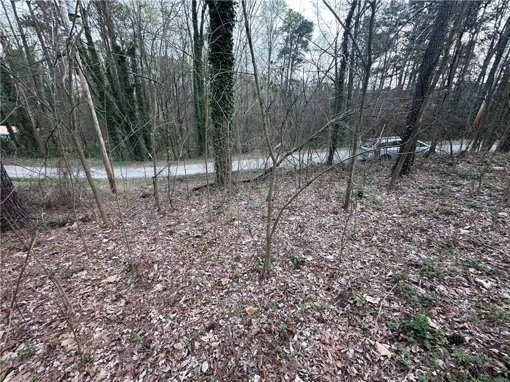 Picture 8