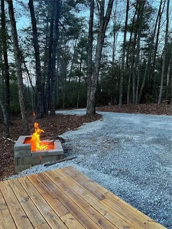 Picture 8