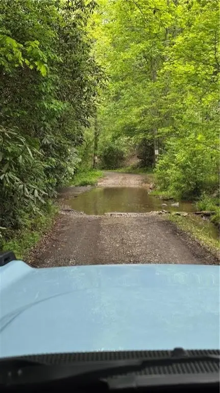 Picture 18