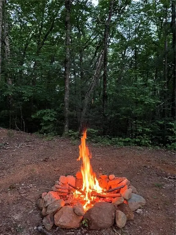 Picture 3