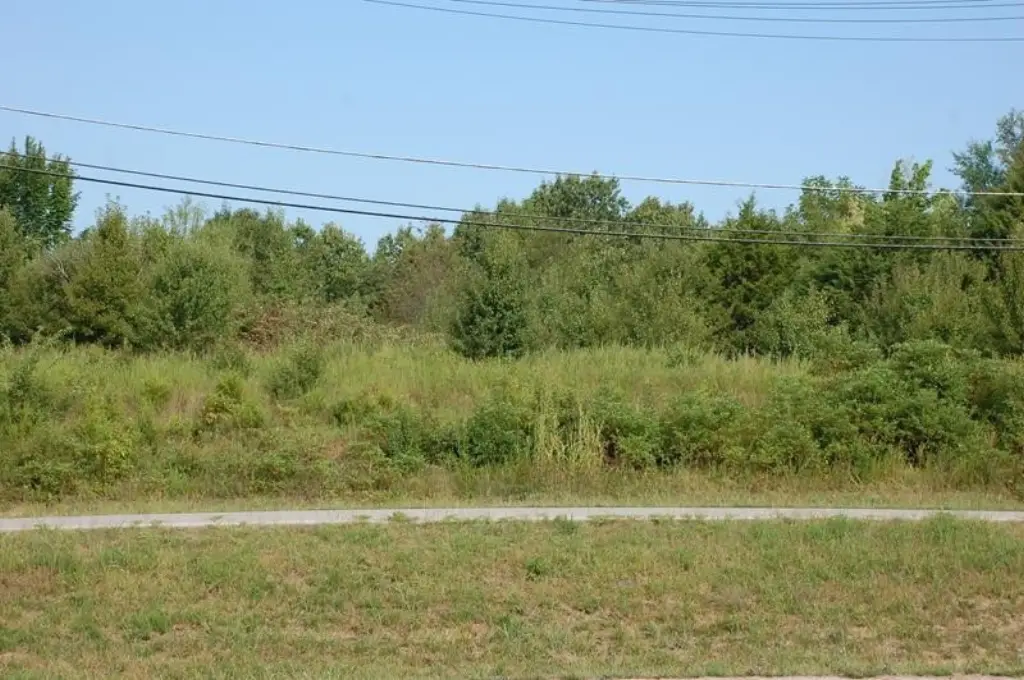 Picture 6