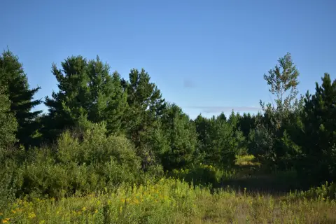 Washburn Acreage with Creek Frontage