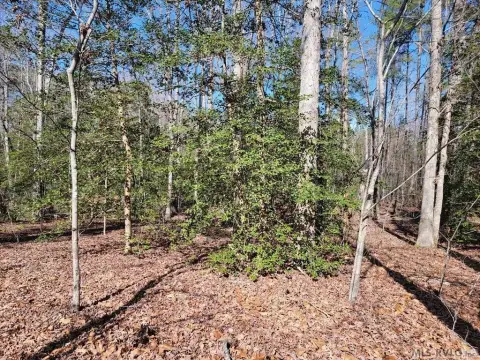 Residential Lot in Will's Landing