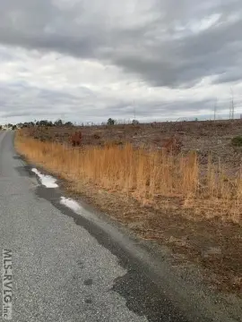 Brunswick County Acreage Near Lake Gaston