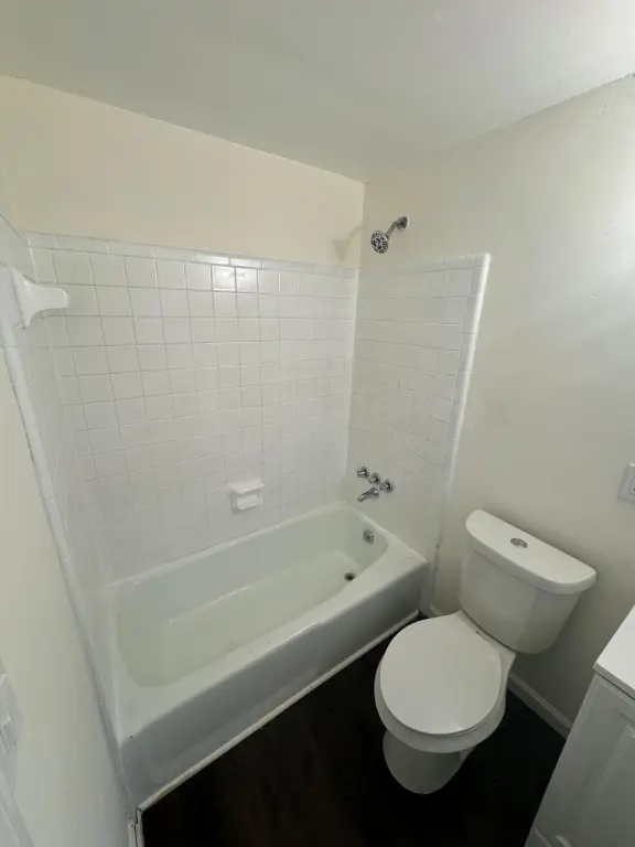 Picture 23