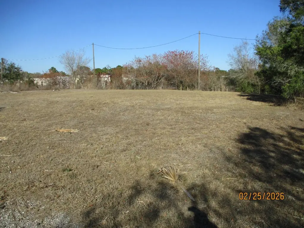 Picture 8