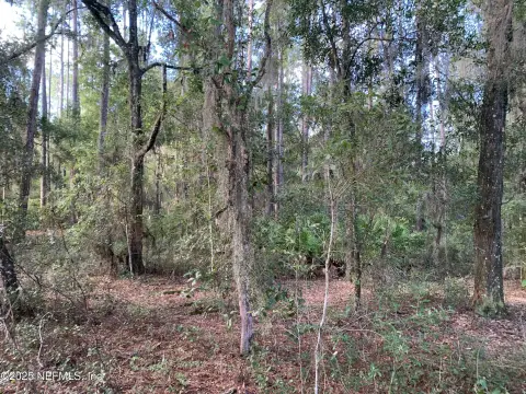 Wooded Lot Near Etoniah Creek
