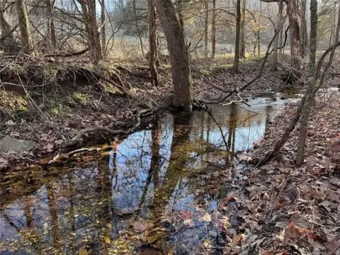 Secluded Hillside Land For Sale