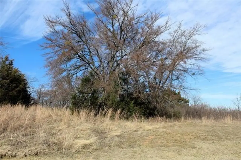 Picture 10