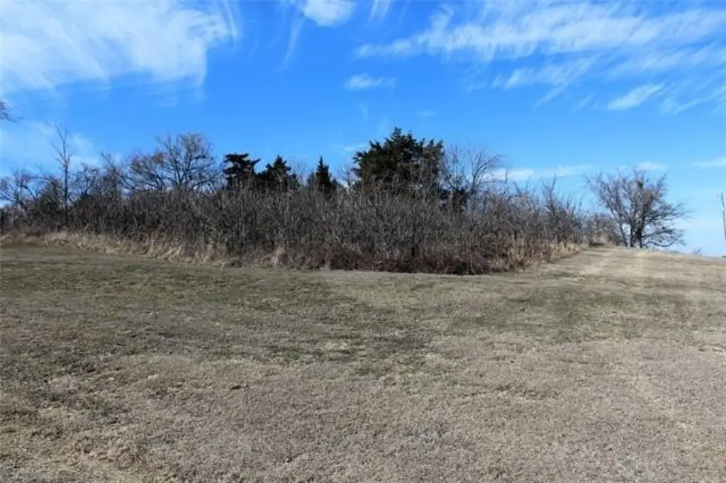 Picture 6