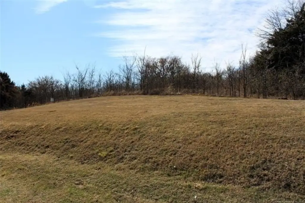 Picture 8