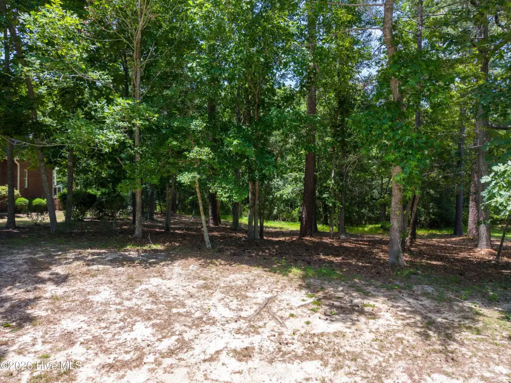 Picture 25