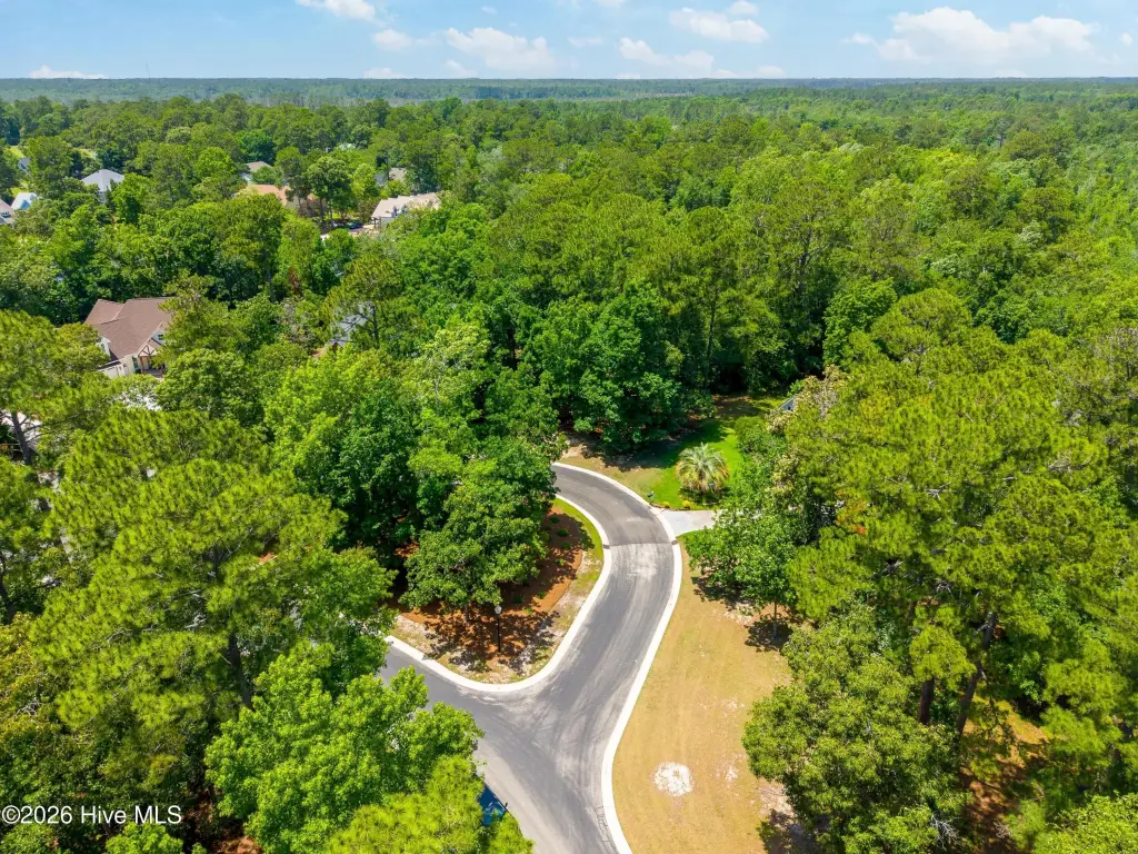 Picture 22