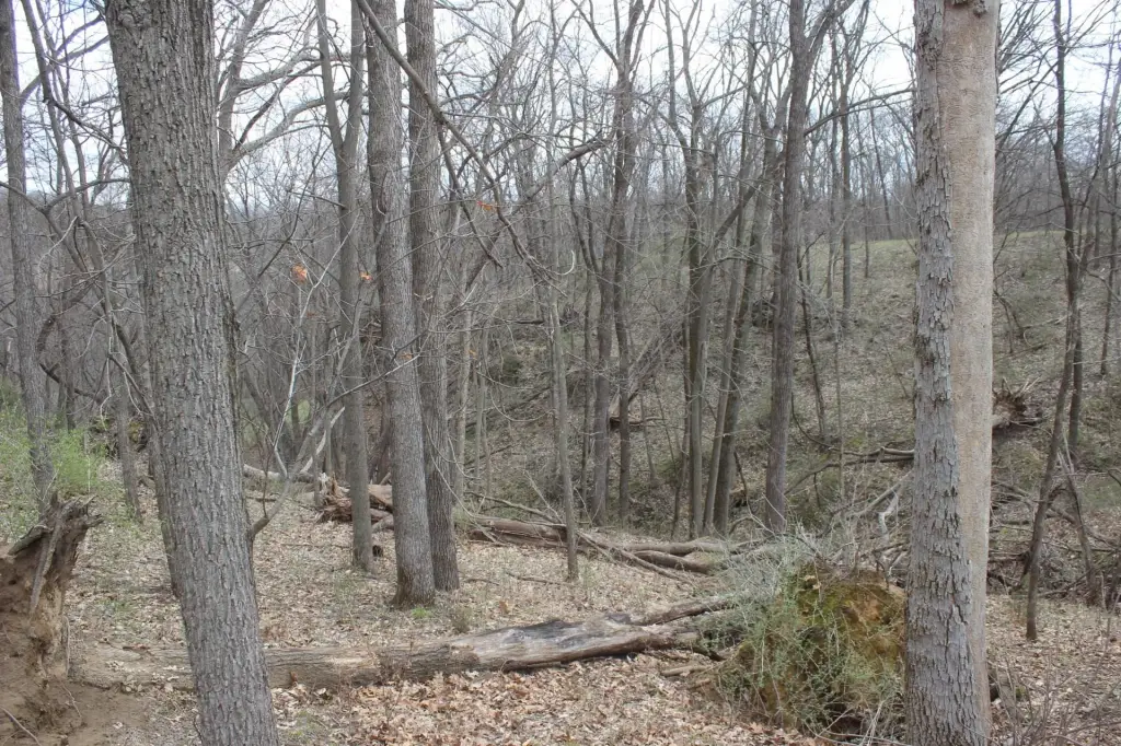 Picture 7