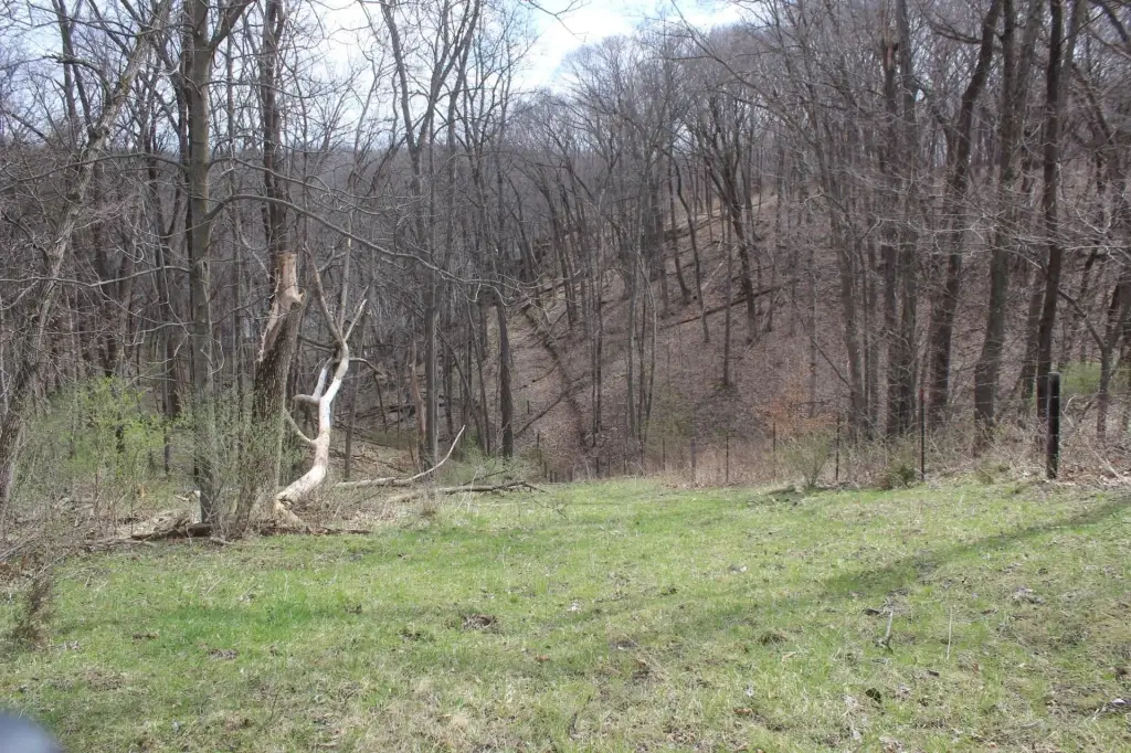 Picture 6