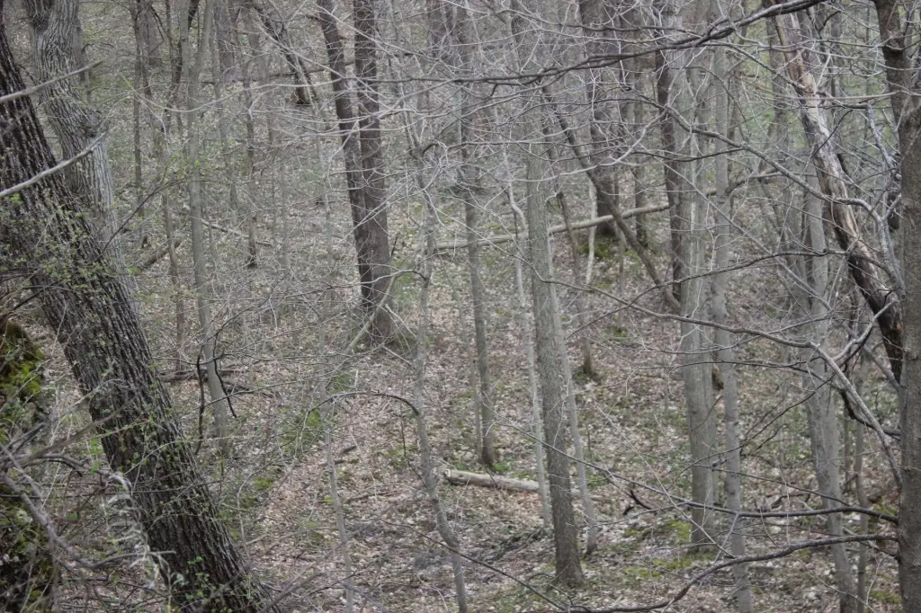 Picture 8