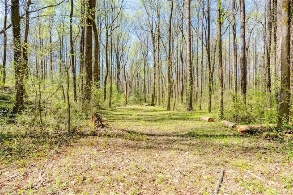 Picture 30