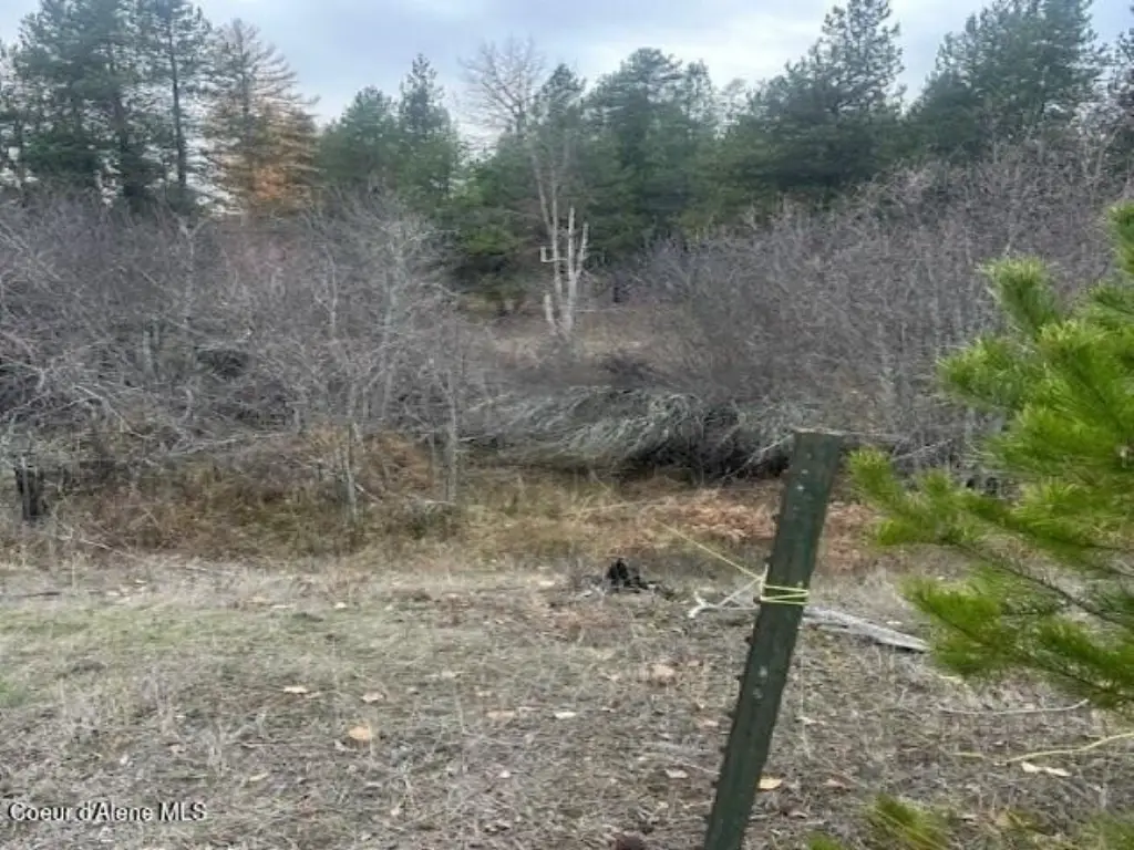 Picture 4