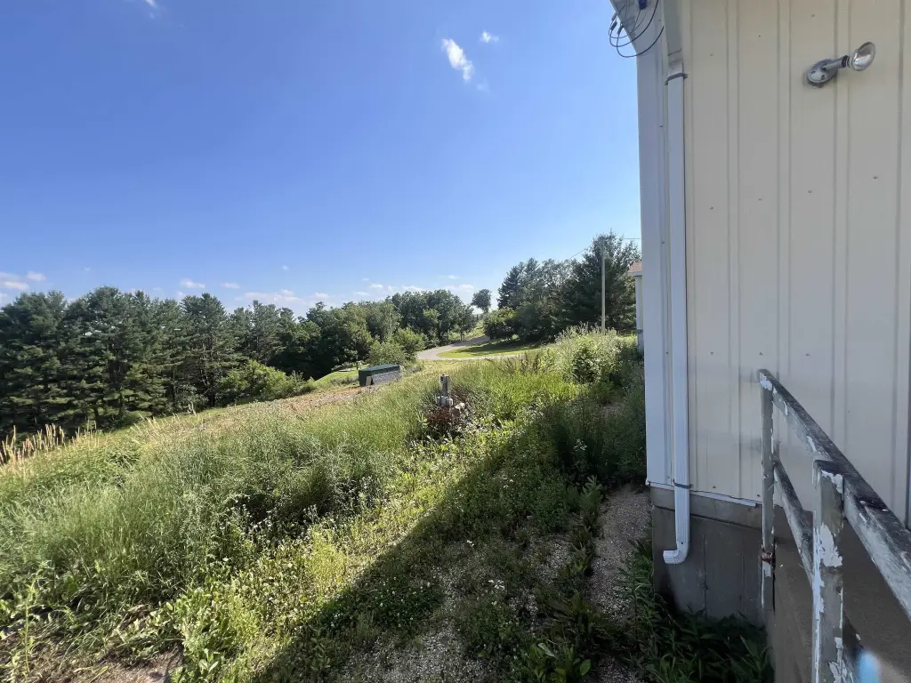 Picture 23