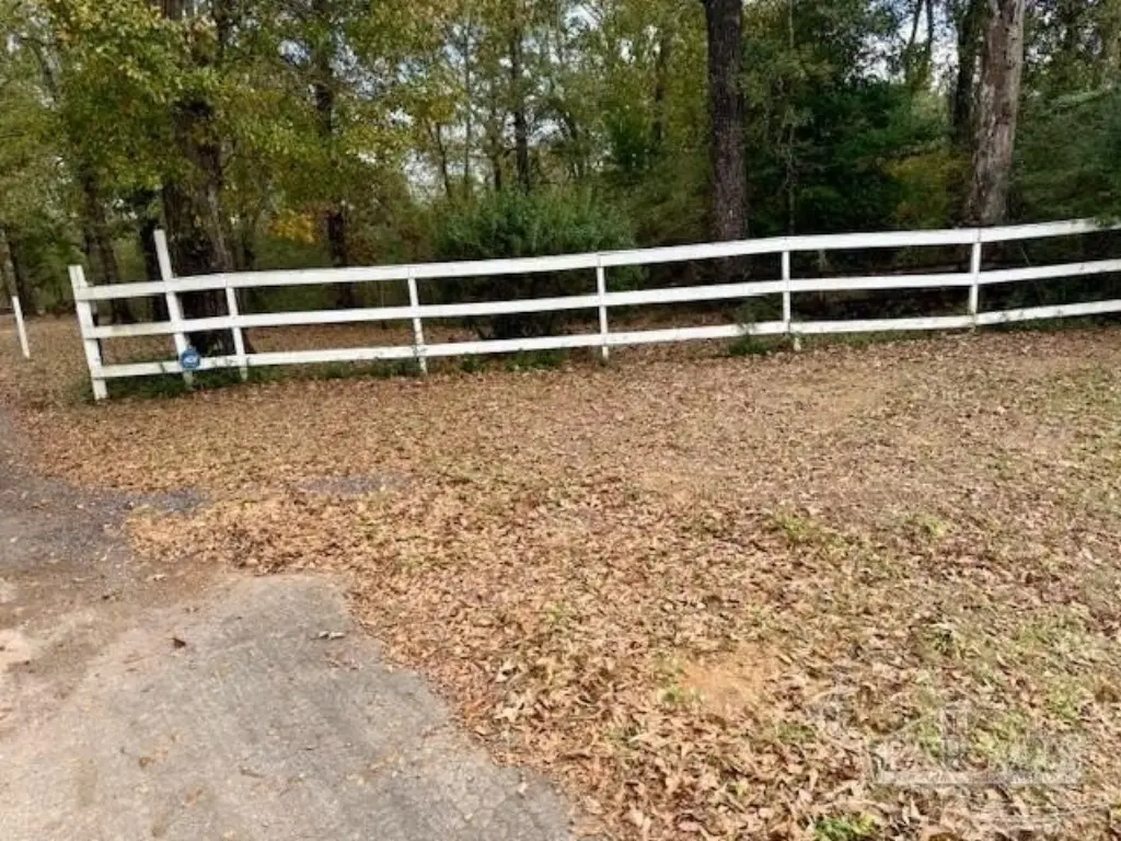 Picture 11