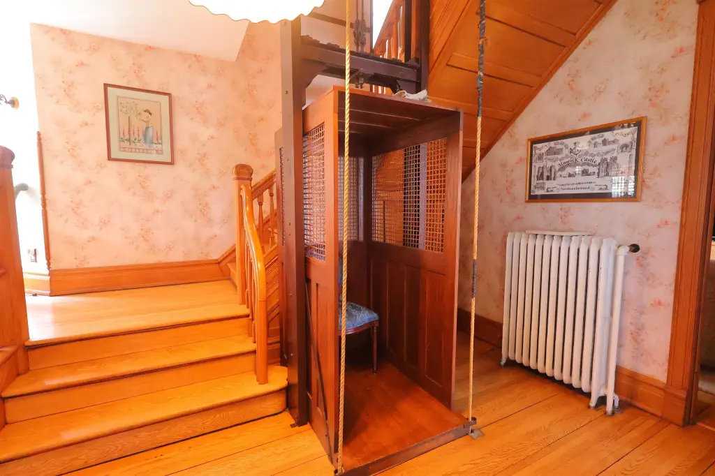 Picture 8
