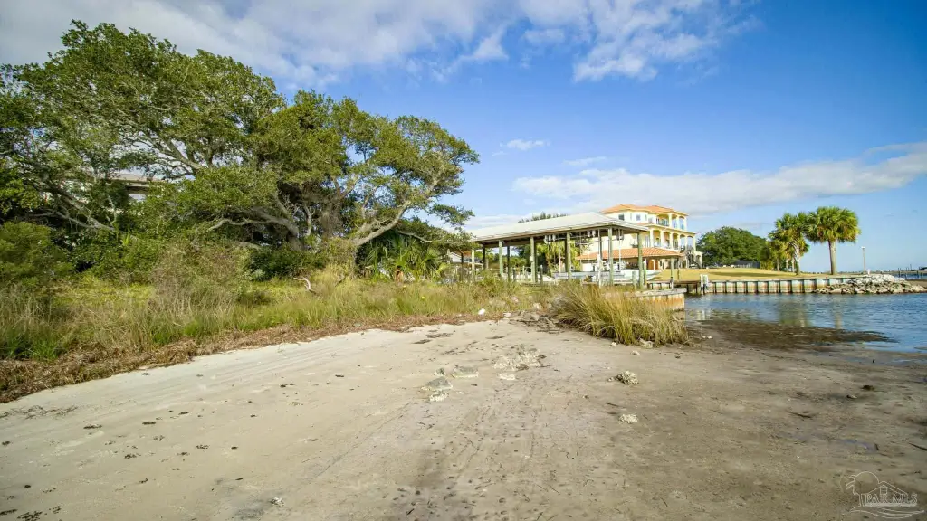 Picture 8
