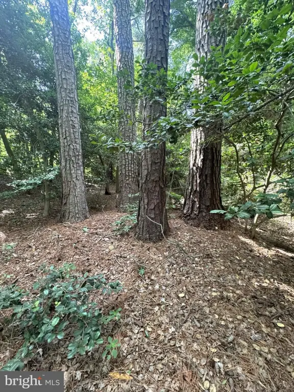 Picture 14