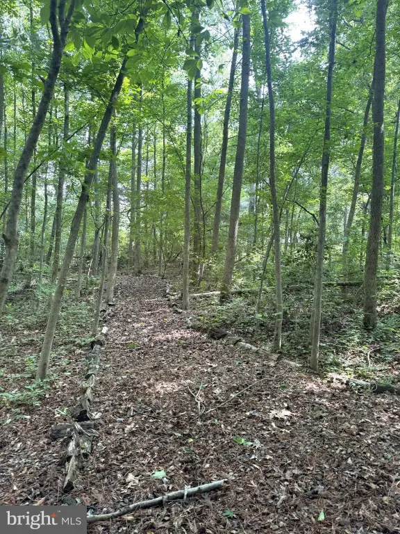 Picture 16