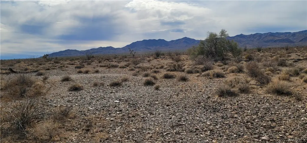 Picture 33