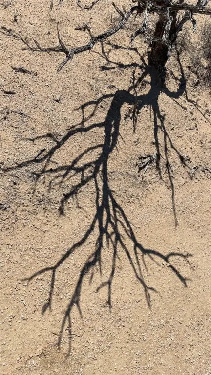 Picture 40
