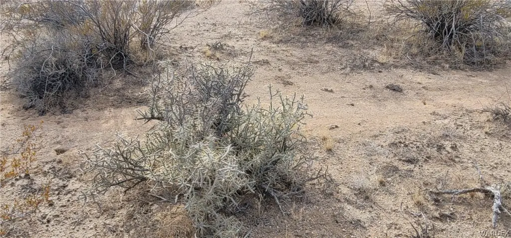 Picture 25