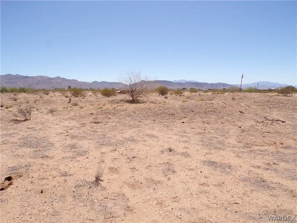 Picture 24