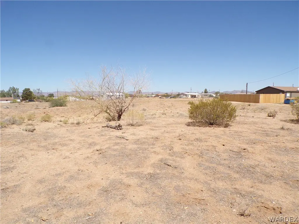 Picture 11