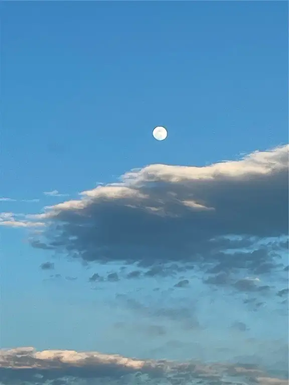 Picture 12