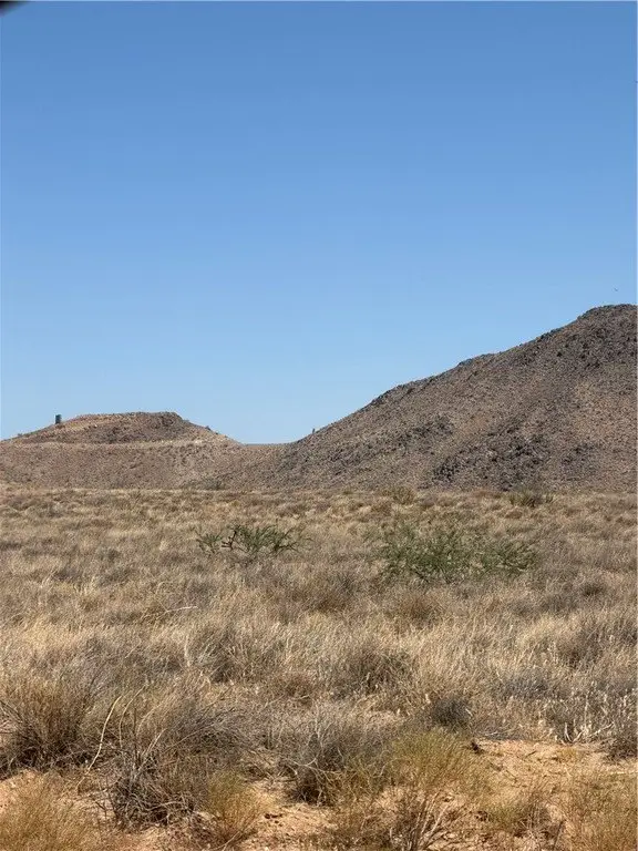 Picture 3