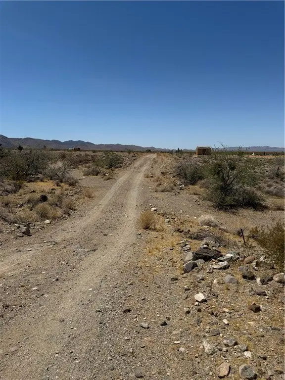 Picture 10