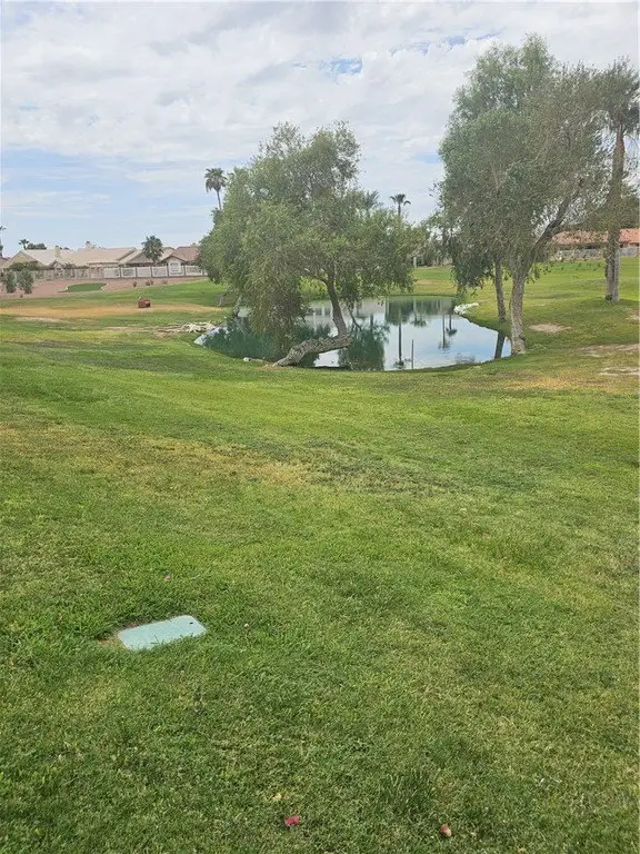 Picture 5