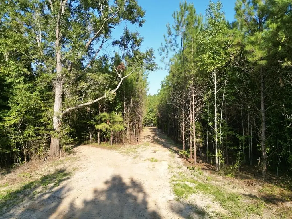 Picture 4