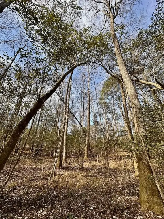 Picture 16