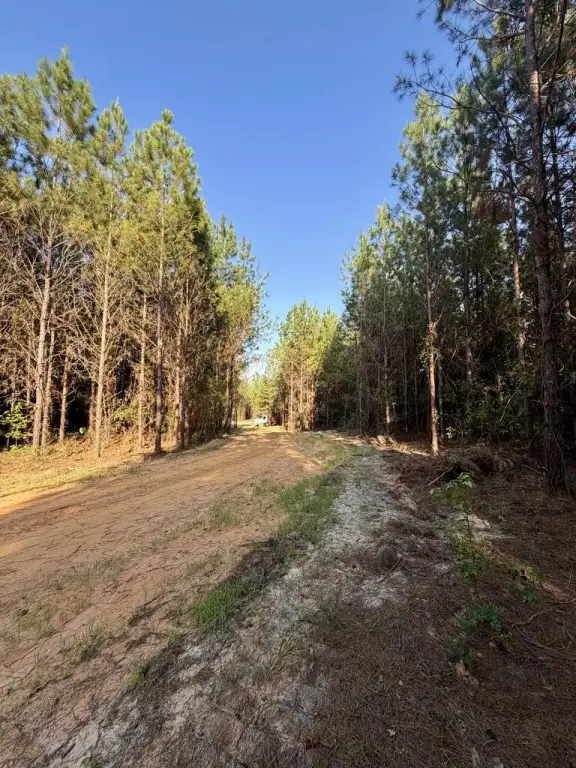 Picture 24