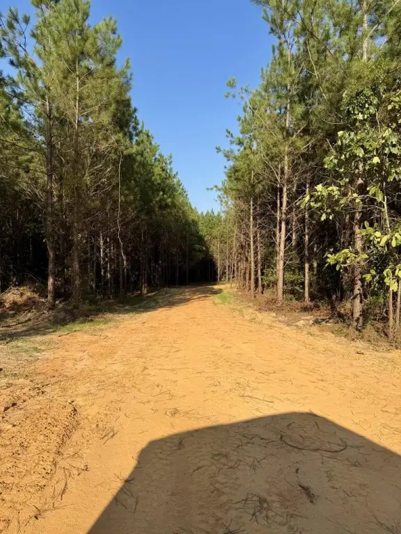 Picture 21