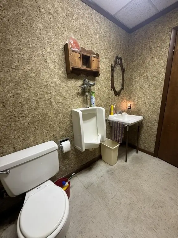 Picture 19