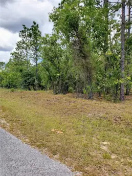 Land in Dunnellon, Florida