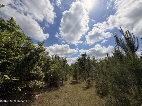 85 Acres Hunting/Recreational Land