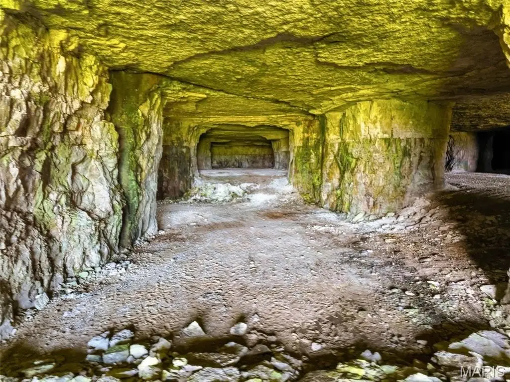 Picture 38
