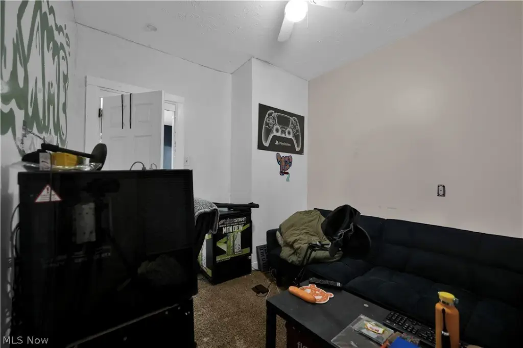 Picture 7