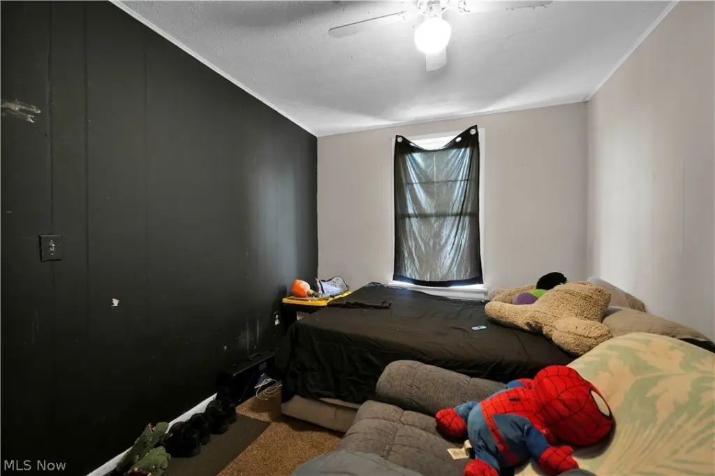 Picture 12