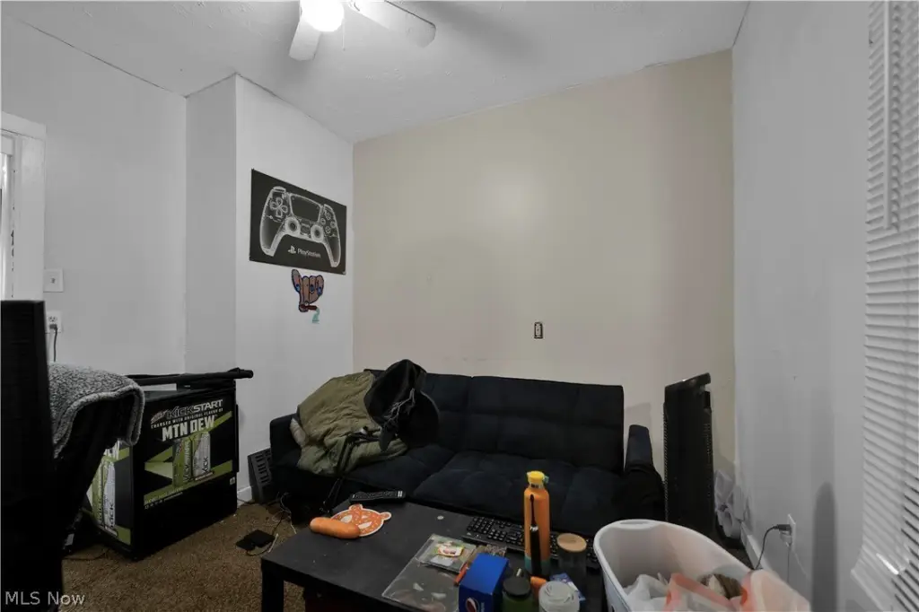 Picture 3